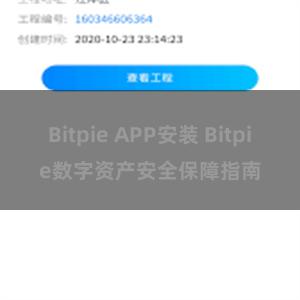 Bitpie APP安装 Bitpie数字资产安全保障指南