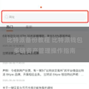 比特派备份教程 比特派钱包多链资产管理操作指南