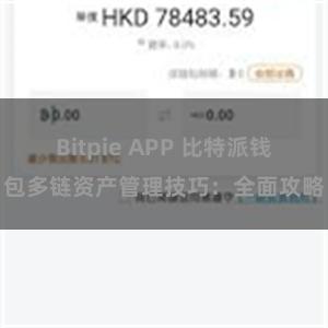 Bitpie APP 比特派钱包多链资产管理技巧：全面攻略