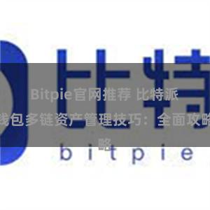 Bitpie官网推荐 比特派钱包多链资产管理技巧：全面攻略