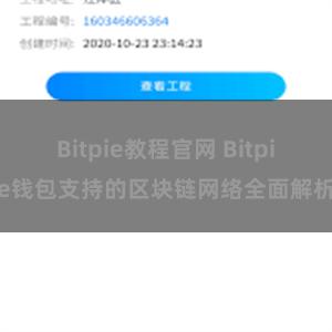 Bitpie教程官网 Bitpie钱包支持的区块链网络全面解析