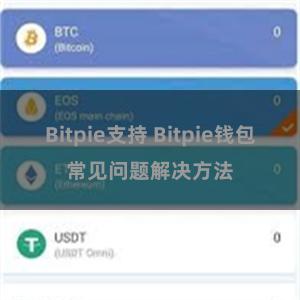 Bitpie支持 Bitpie钱包常见问题解决方法