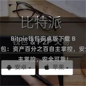 Bitpie钱包安卓版下载 Bitpie钱包：资产百分之百自主掌控，安全可靠！