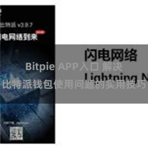 Bitpie APP入口 解决比特派钱包使用问题的实用技巧