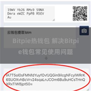 Bitpie热钱包 解决Bitpie钱包常见使用问题