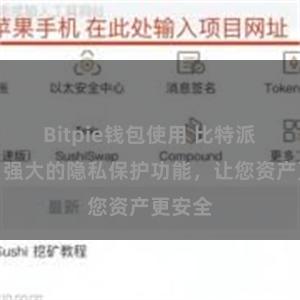 Bitpie钱包使用 比特派钱包：强大的隐私保护功能，让您资产更安全