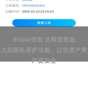 Bitpie钱包 比特派钱包：强大的隐私保护功能，让您资产更安全