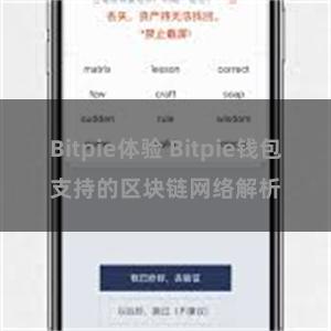 Bitpie体验 Bitpie钱包支持的区块链网络解析