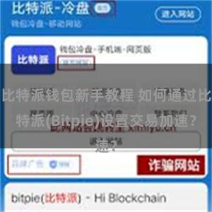 比特派钱包新手教程 如何通过比特派(Bitpie)设置交易加速？