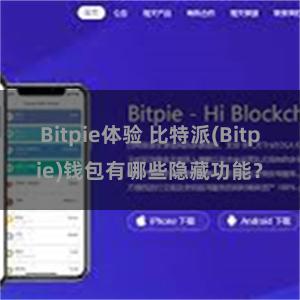 Bitpie体验 比特派(Bitpie)钱包有哪些隐藏功能？