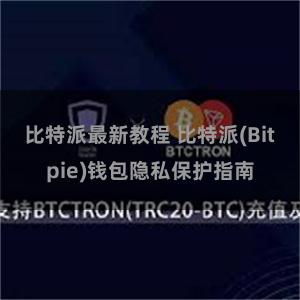 比特派最新教程 比特派(Bitpie)钱包隐私保护指南