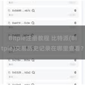 Bitpie注册教程 比特派(Bitpie)交易历史记录在哪里查看？