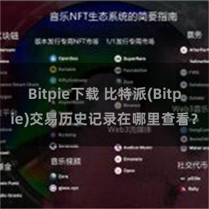 Bitpie下载 比特派(Bitpie)交易历史记录在哪里查看？