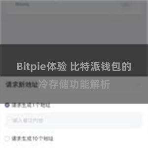 Bitpie体验 比特派钱包的冷存储功能解析