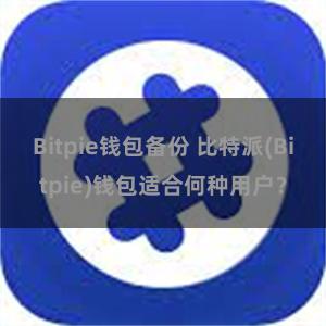 Bitpie钱包备份 比特派(Bitpie)钱包适合何种用户？