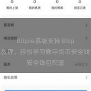 Bitpie系统支持 Bitpie安装教程，轻松学习数字货币安全钱包配置