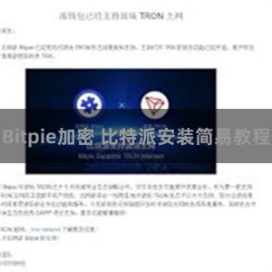 Bitpie加密 比特派安装简易教程