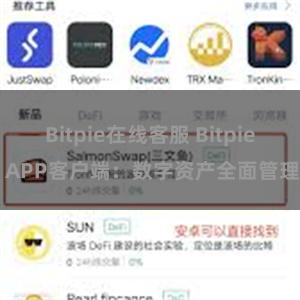 Bitpie在线客服 Bitpie APP客户端：数字资产全面管理