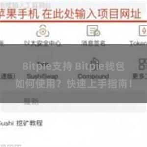 Bitpie支持 Bitpie钱包如何使用？快速上手指南！