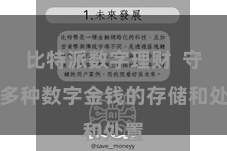 比特派数字理财  守旧多种数字金钱的存储和处置