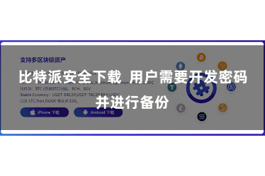 比特派安全下载 用户需要开发密码并进行备份