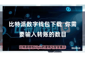 比特派数字钱包下载 你需要输入转账的数目
