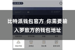 比特派钱包官方  你需要输入罗致方的钱包地址