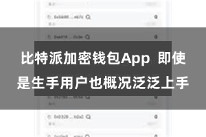 比特派加密钱包App 即使是生手用户也概况泛泛上手