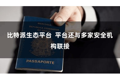 比特派生态平台  平台还与多家安全机构联接