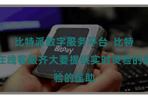 比特派数字服务平台  比特派在线客服齐大要提供实时灵验的匡助