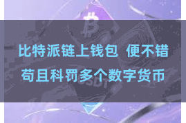 比特派链上钱包  便不错苟且科罚多个数字货币