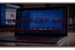 比特派去中心资产  比特派走动方位走动历程中接管了严格的风险废除依次