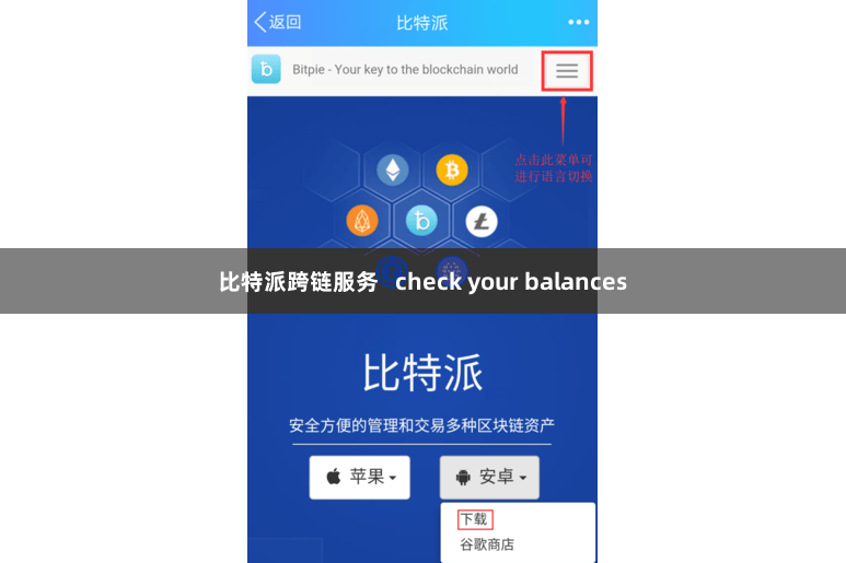 比特派跨链服务   check your balances