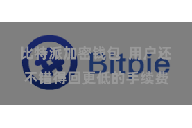 比特派加密钱包  用户还不错得回更低的手续费
